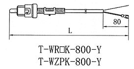 壓簧式熱電偶(阻) T-WR□K-800-Y T-WZPK-800-Y
